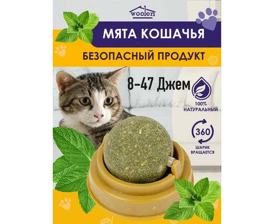 КОШАЧЬЯ МЯТА (БЕЗ ВЫБОРА ВИДА), код 6546495